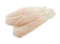 פילה לברק יפני קפוא